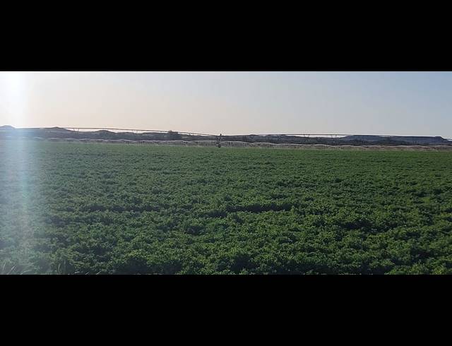 4,642HA FARM FOR SALE IN LEEU GAMKA